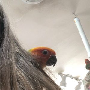 Meet your Posher, Kaylee